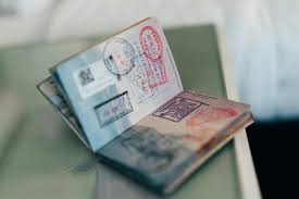 Visa Mexico online